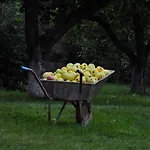 Ostoja Nad Gilem * Ostrow Wielki