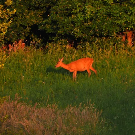 Ostoja Nad Gilem Ostrow Wielki
