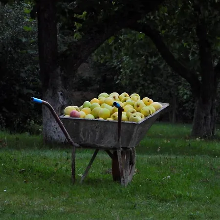 Ostoja Nad Gilem * Ostrow Wielki